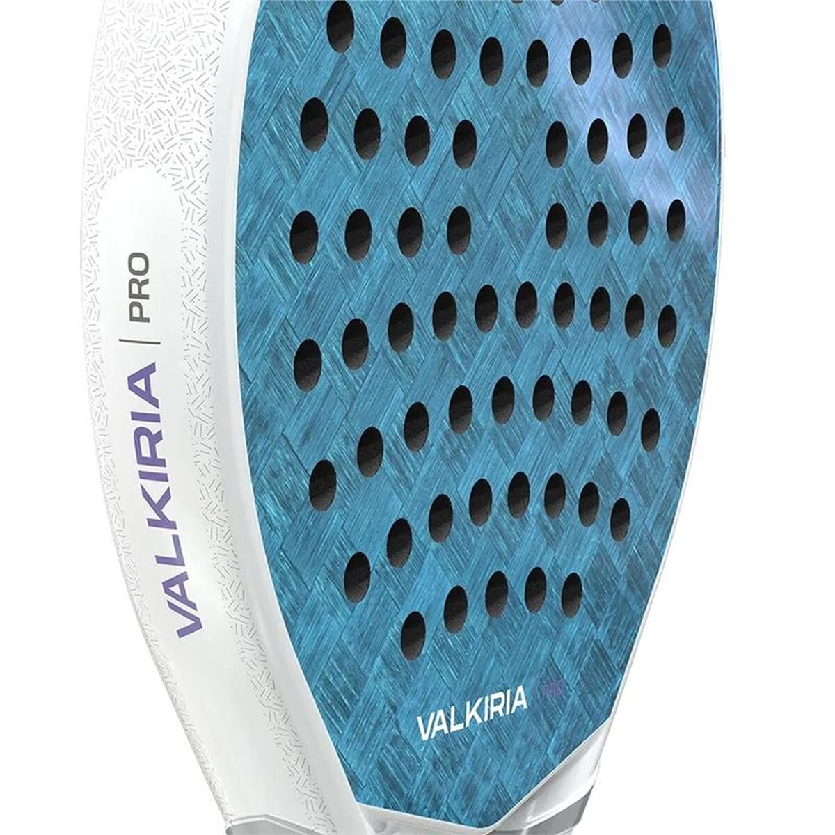 V1HEA03050298A0873FCE11EC596931ABB2RP7