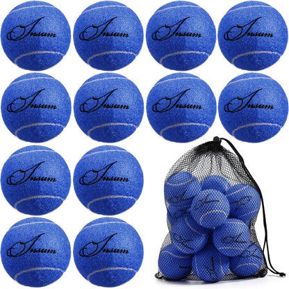 Tennisballen 12-Pack - Trainings Tennisballen voor Beginners met Opbergnet eprolo