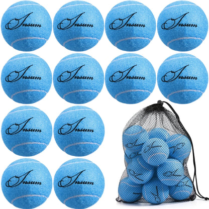 Tennisballen 12-Pack - Trainings Tennisballen voor Beginners met Opbergnet eprolo