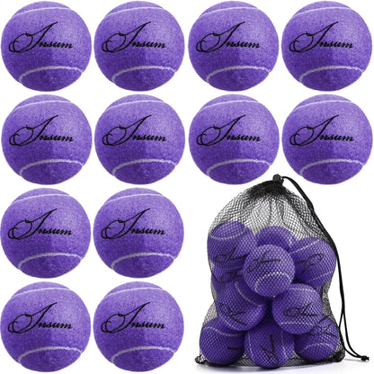 Tennisballen 12-Pack - Trainings Tennisballen voor Beginners met Opbergnet eprolo